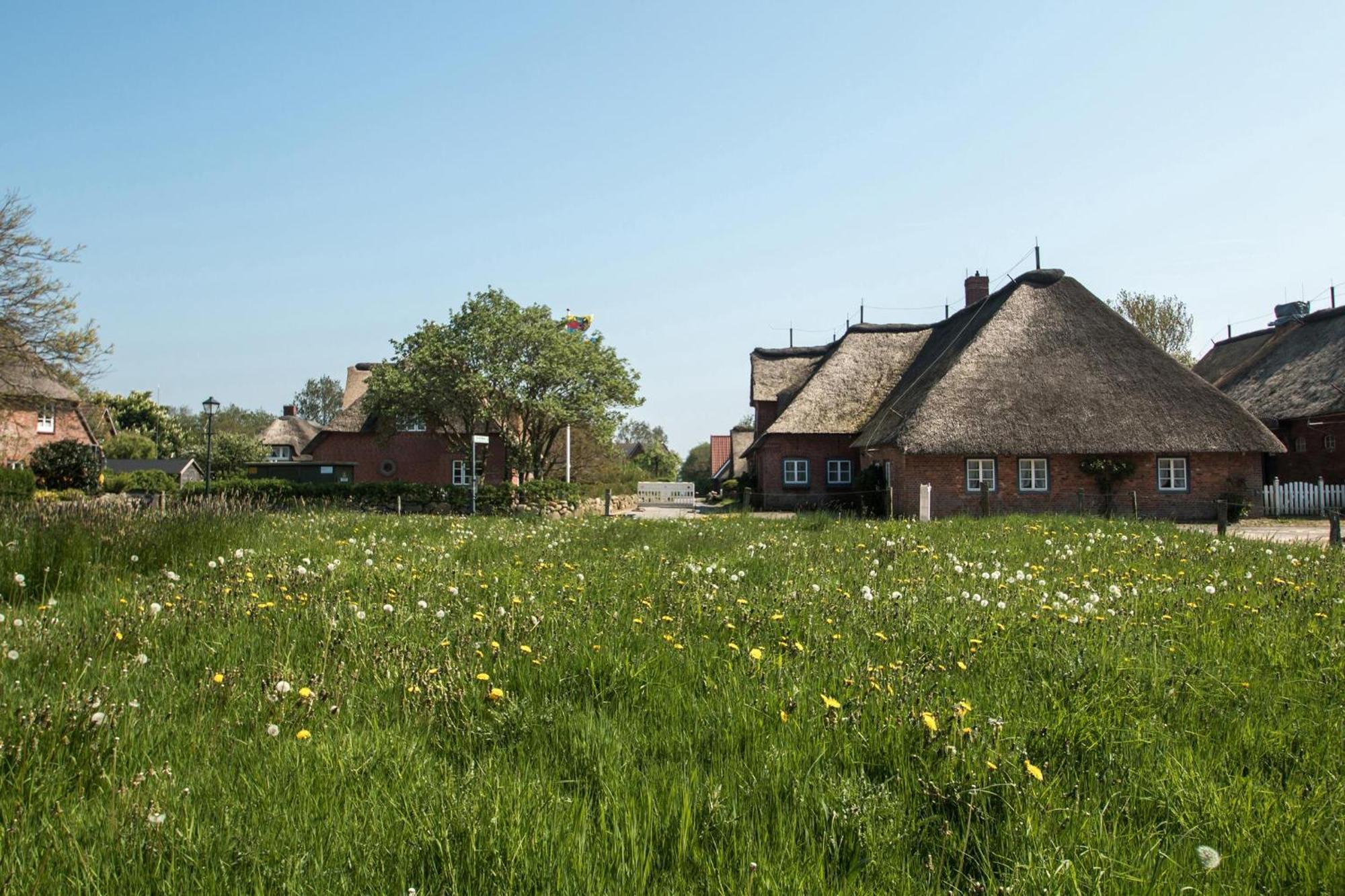 Reethus Gluecklicher Matthias Hausteil Waasterlun Oldsum Exteriér fotografie